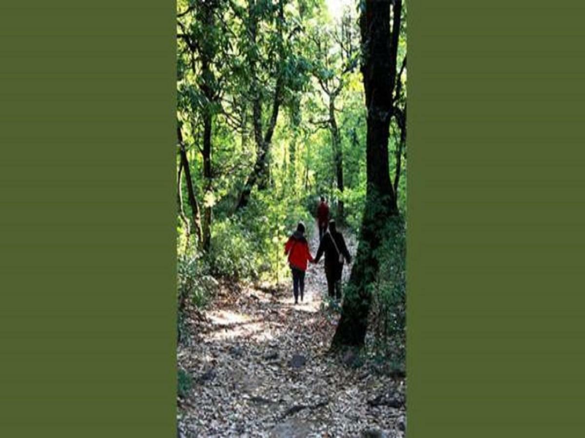 Jungle Lore Birding Lodge Nainital Bagian luar foto